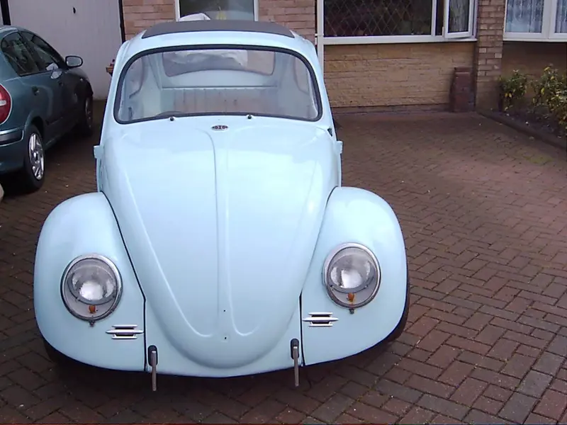 beetle 005.webp