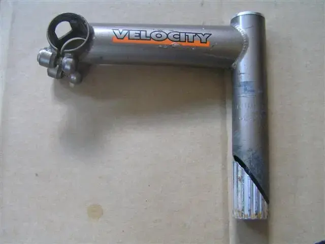 stem.webp