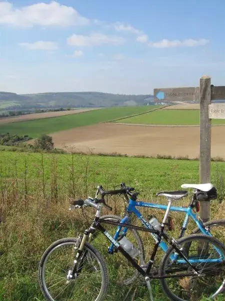 bikes.webp