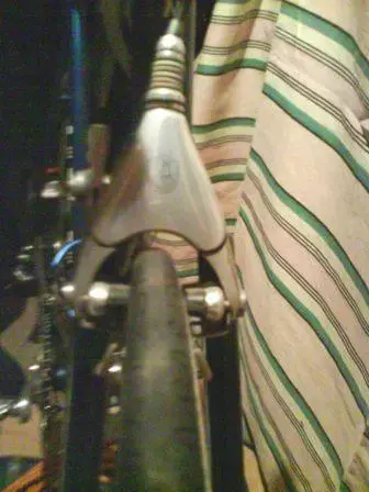 DSC00235.webp