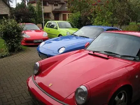 lupo small front.webp