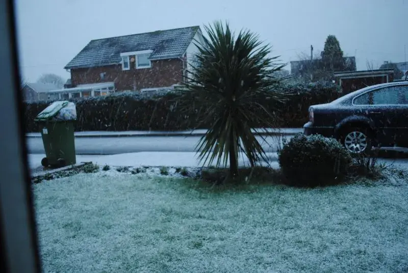 Snow joke.webp