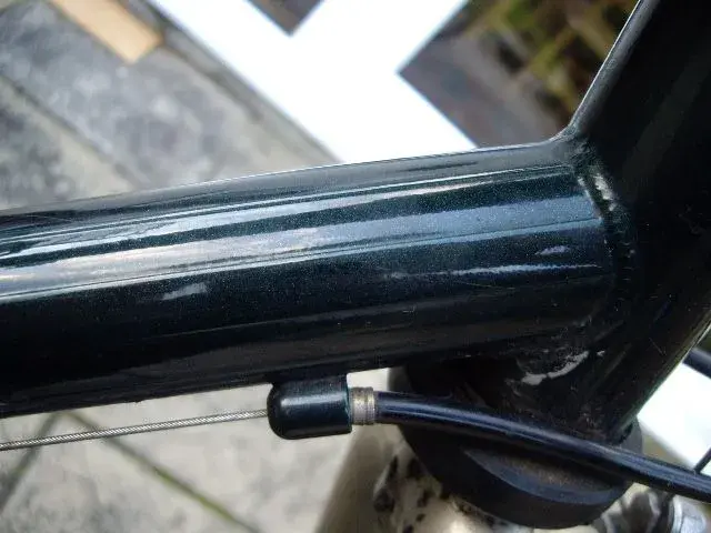 IMGP1707.webp