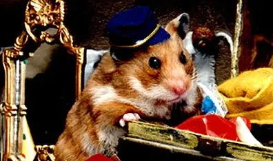 Hammy 1.webp
