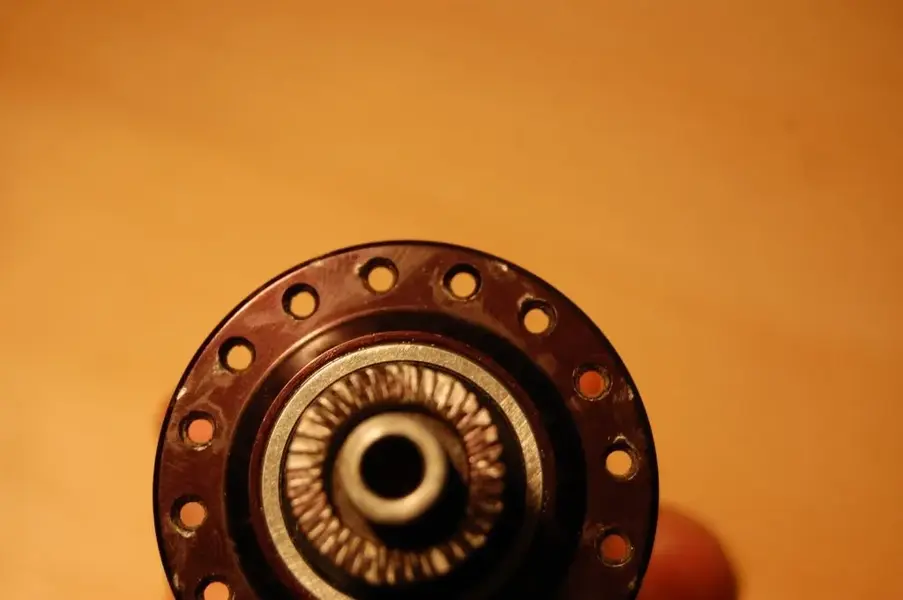 ringle_campag 003.webp