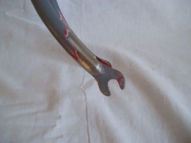 P2220030.webp