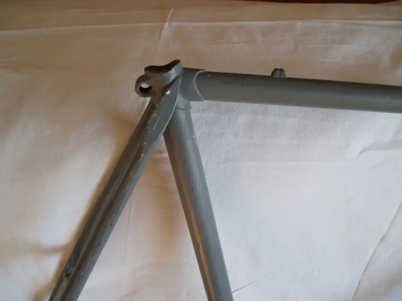 P2220027.webp