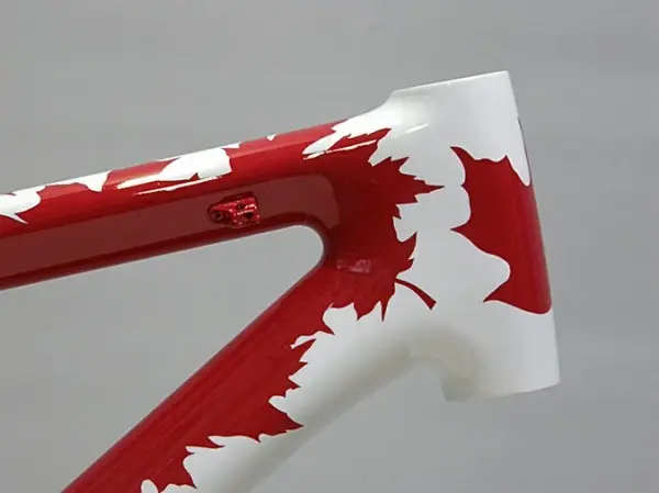 canadian-mountain-special_1-600x449.webp