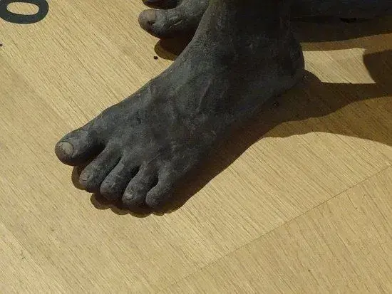 neanderthal-museum.webp