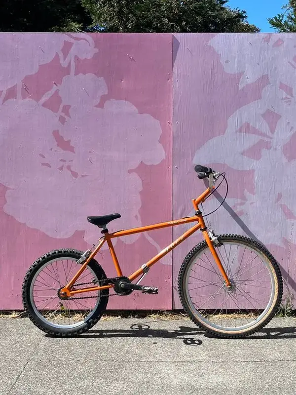 Ibis_Mt_Trials_Comp.webp