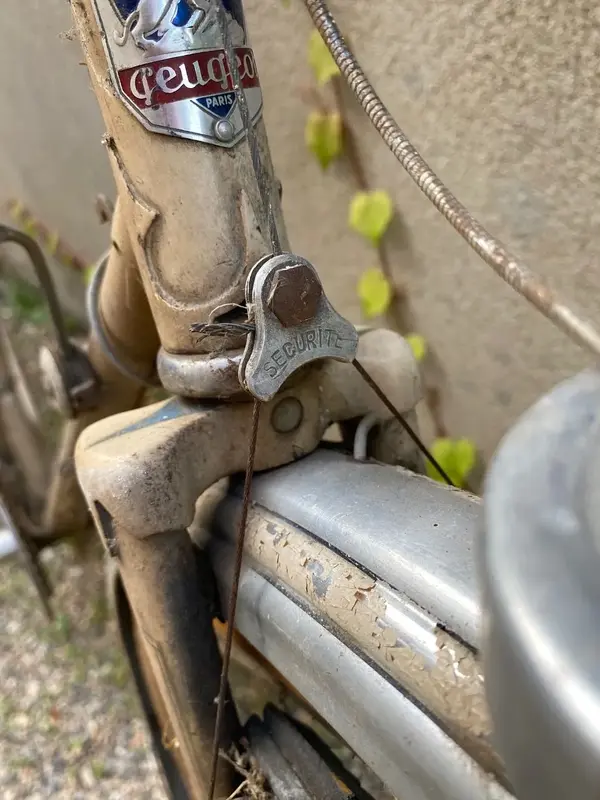 Peugeot PH60 19488.webp