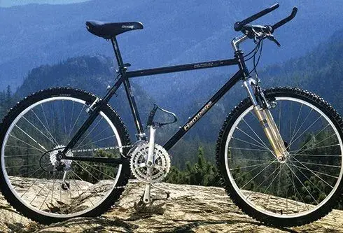 Norco Rampage 1992.webp