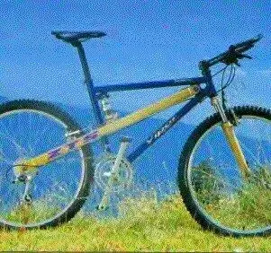 Norco Vipor FTS Fully 1993 catalog.webp