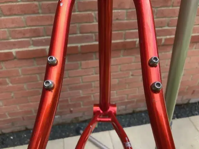 Wanga - 13.jpeg