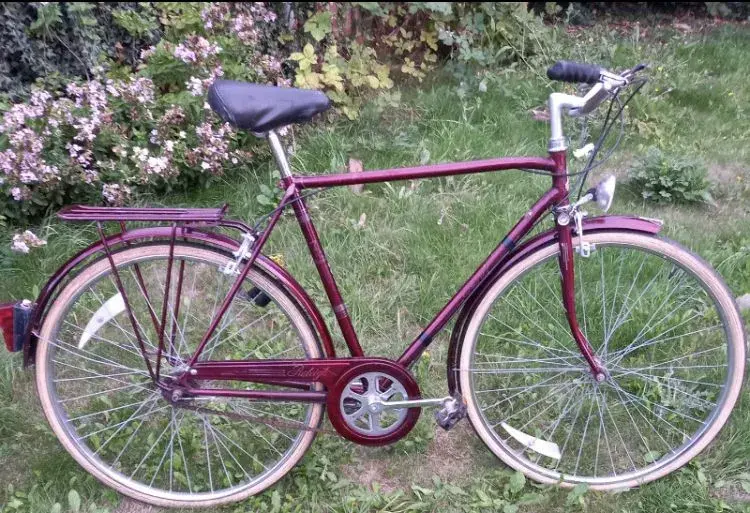 Raleigh courier bike shop