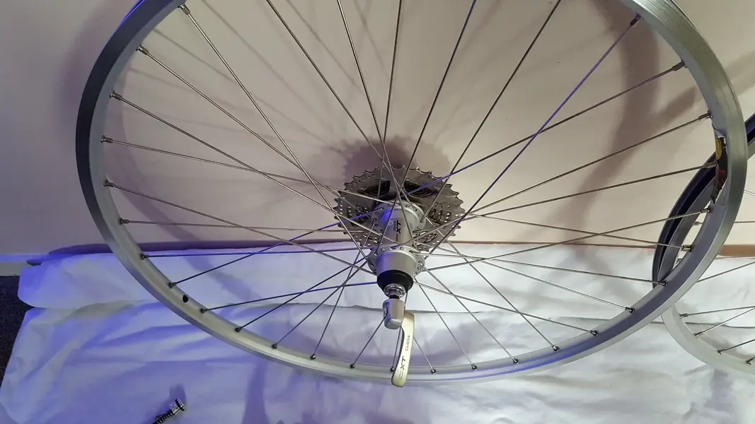 20220918_130234.jpg