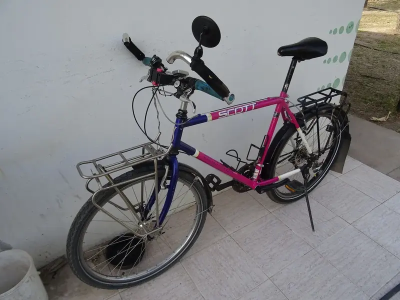 DSC08743.webp