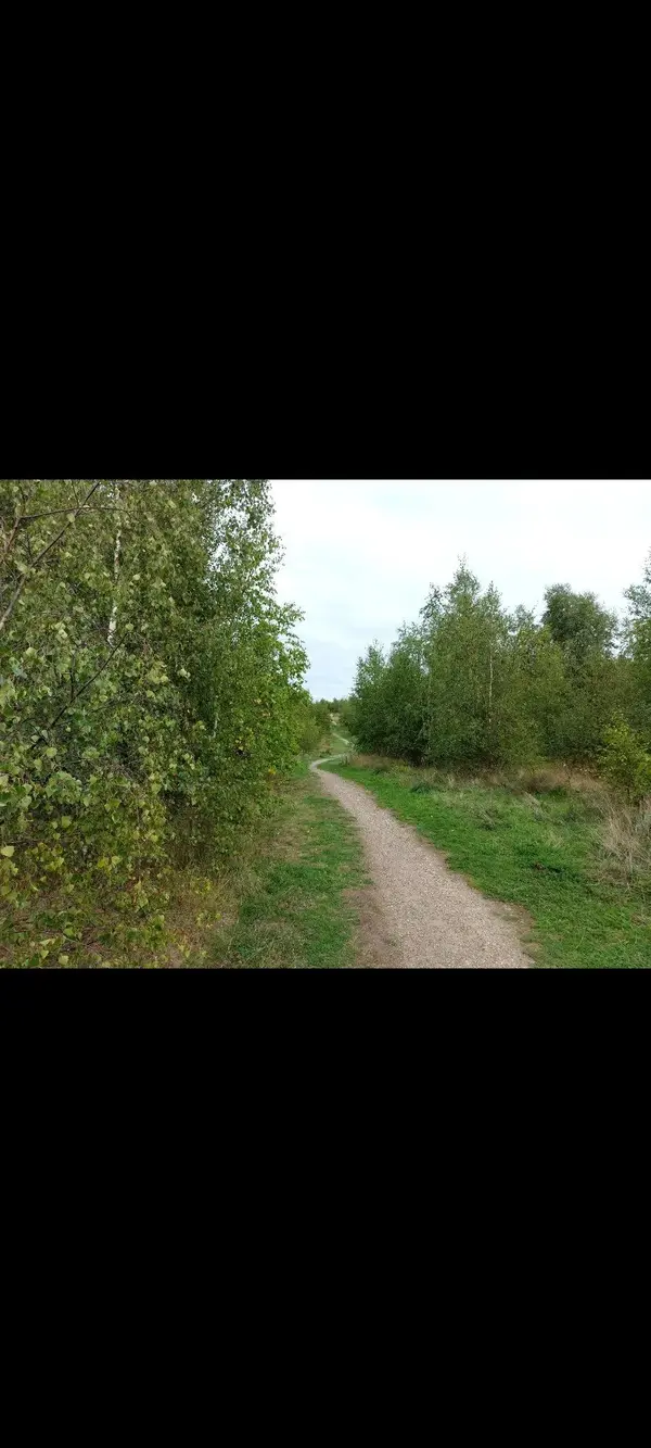 Screenshot_20220920-221214_Gallery.webp