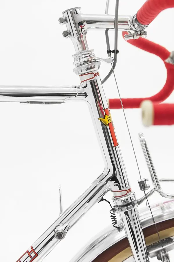 Rayal H randonneur 24.webp