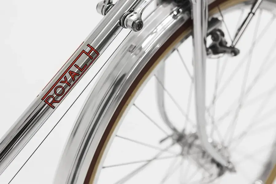 Rayal H randonneur 31.webp