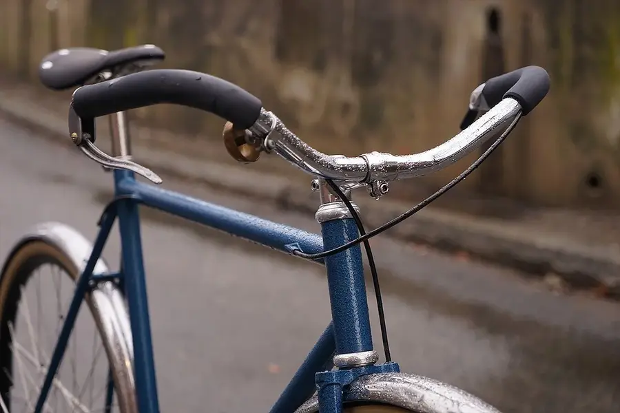 surly-coryroller-2.webp