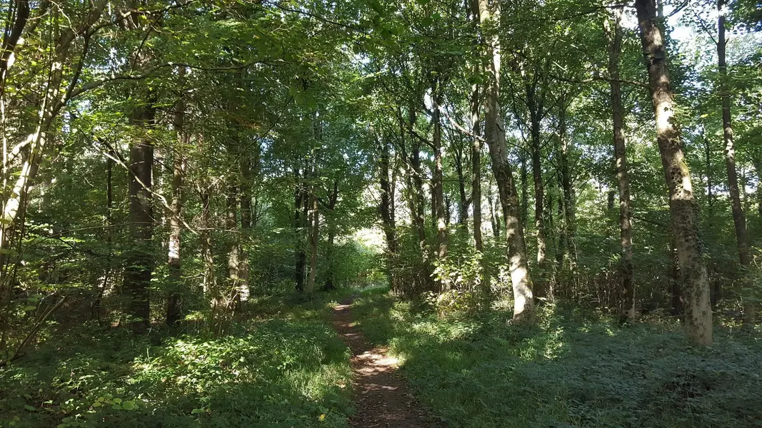 20220928_110252.webp