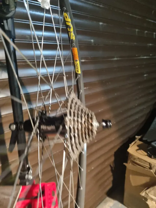 20221001_190453.webp