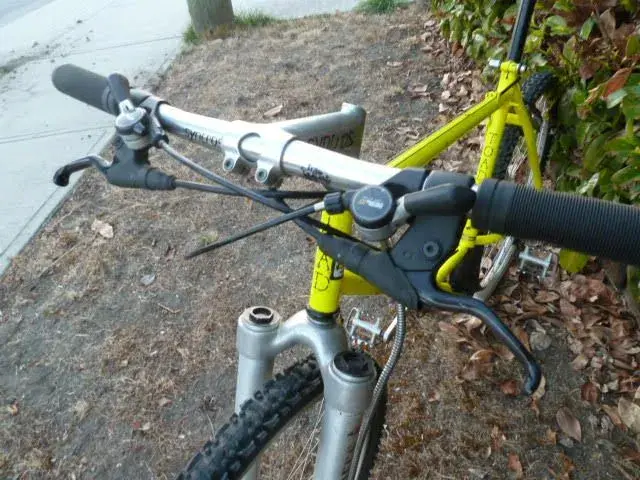 rod horny toad 4.webp