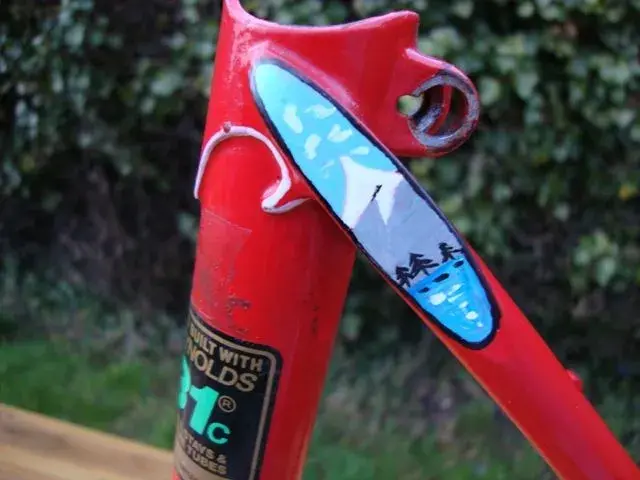 Pennine detail 1.webp