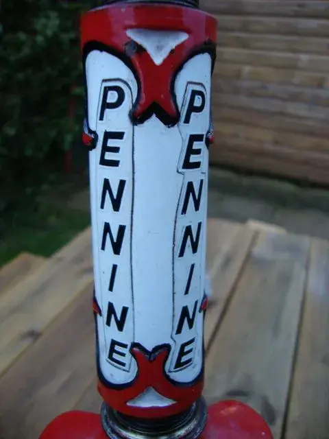 Pennine detail 4.webp