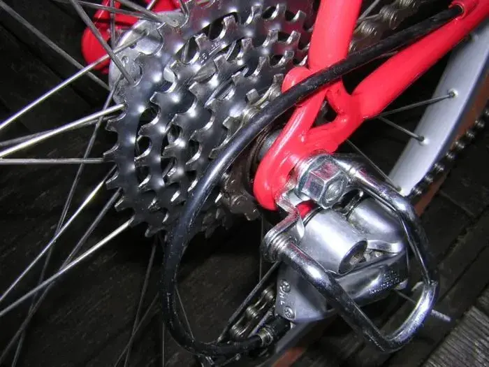 DSCN2393.webp