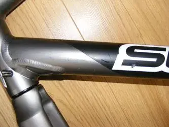 scott 4.webp