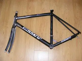 scott 2.webp