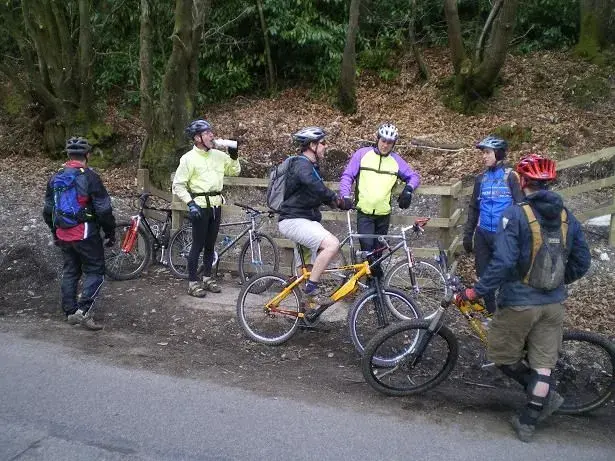 the motley crew.webp