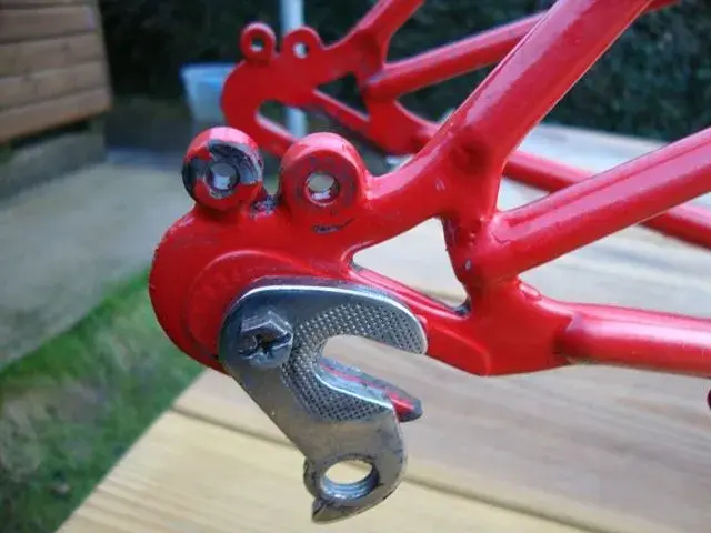 Pennine rear dropout.webp