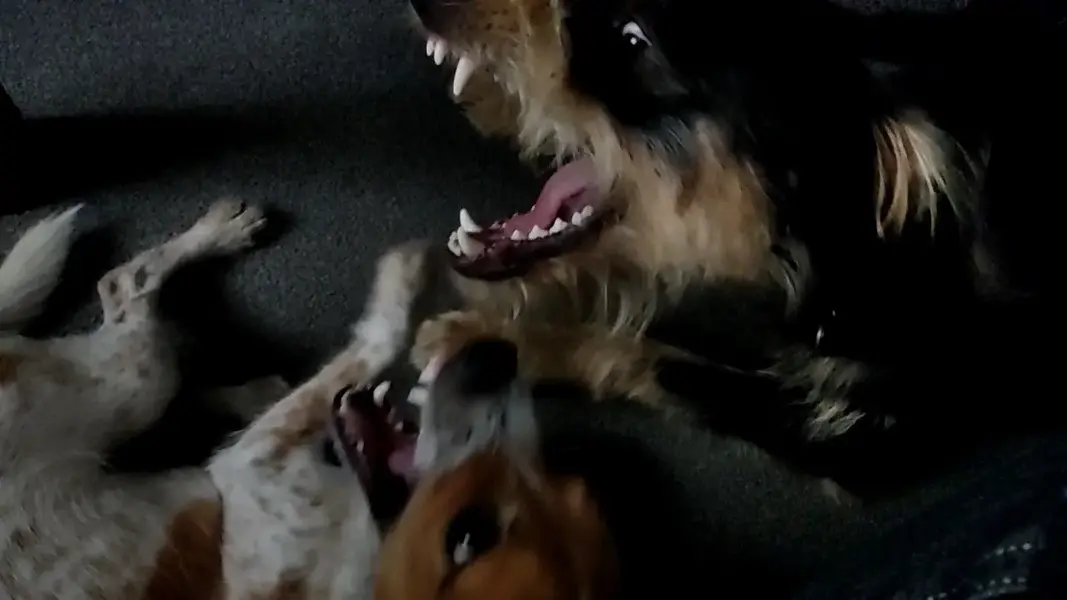 VID_20221001_100013_HSR_120_exported_4110.webp