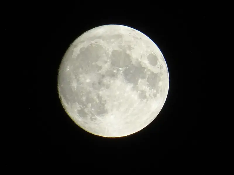 DSC01418.webp