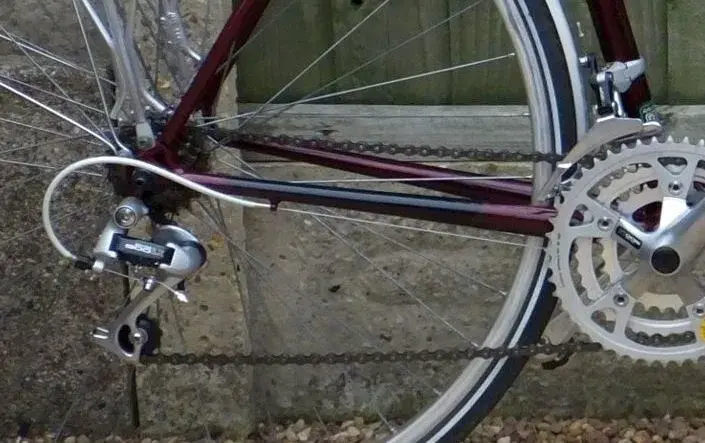 DSCF6697-1.webp