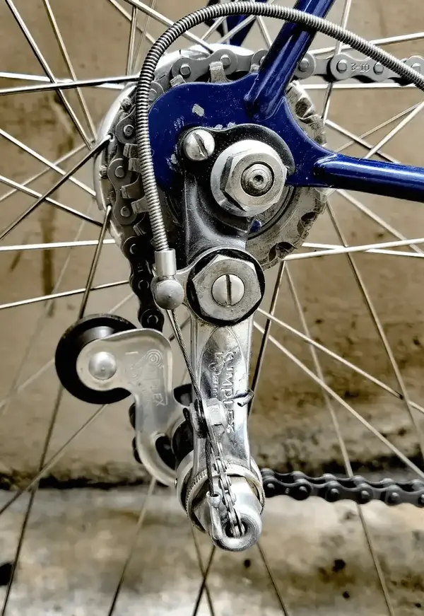 Screenshot_20221016-071640~2.webp