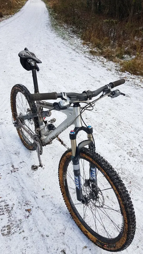 Razorback im Schnee.jpg
