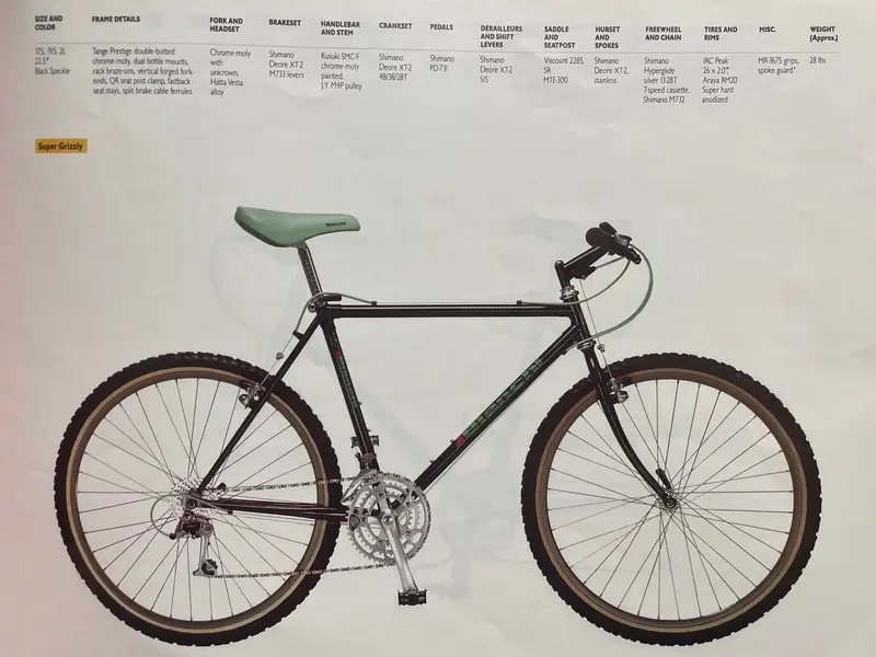 Bianchi 1989 9.webp