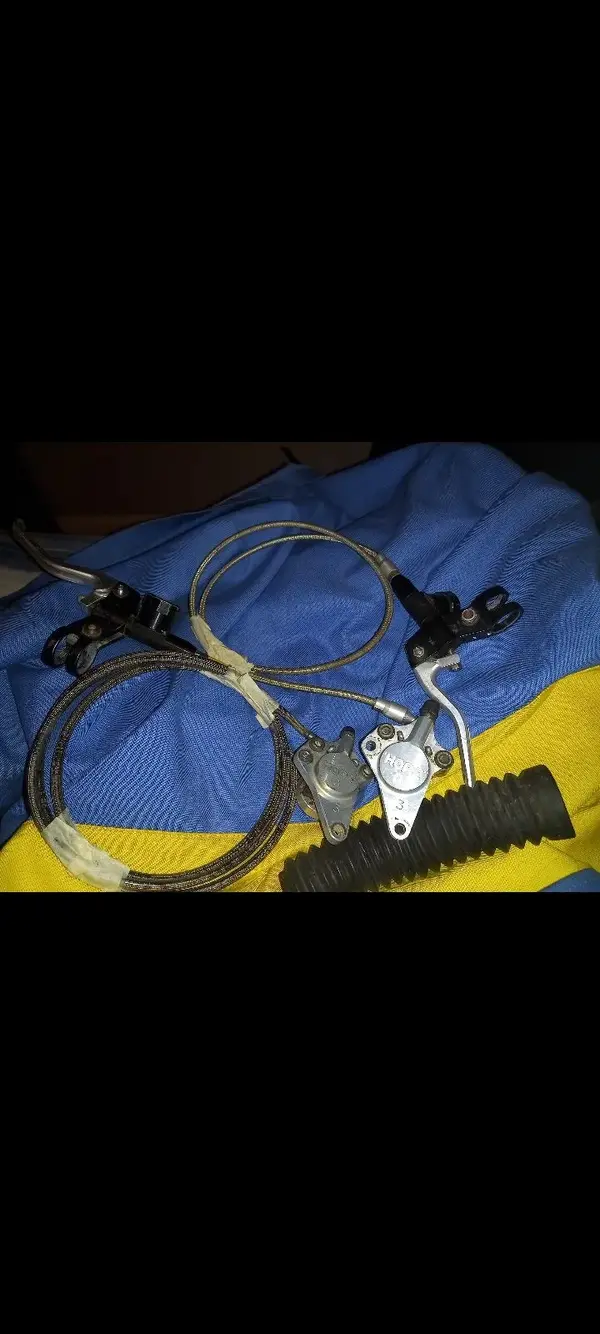 Screenshot_20221107-105141_Gallery.webp