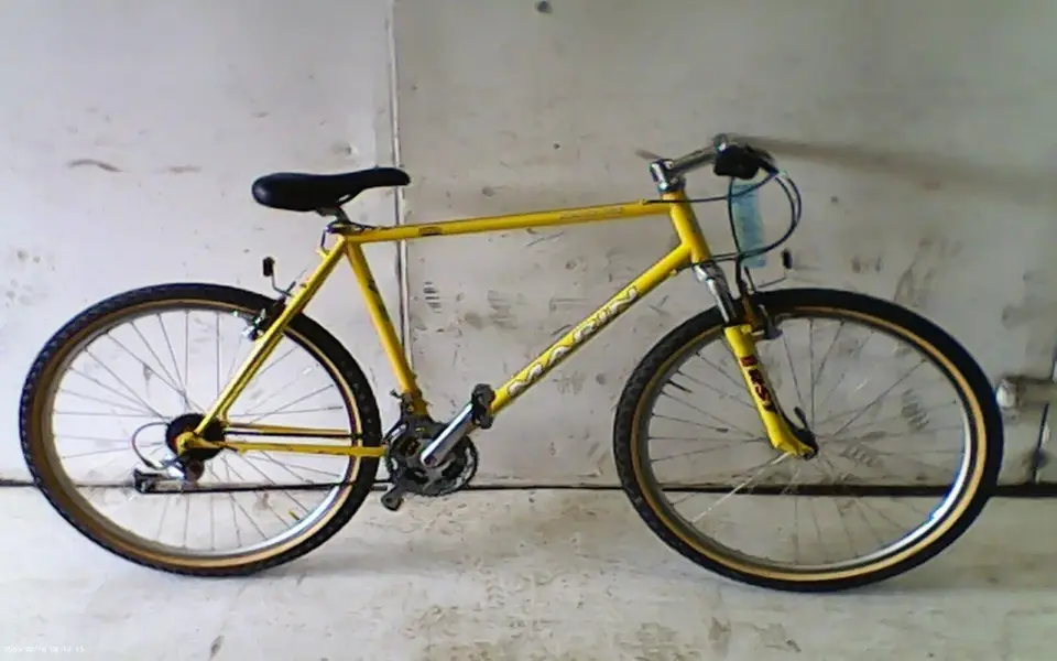 marinhawkhillyellow1.webp
