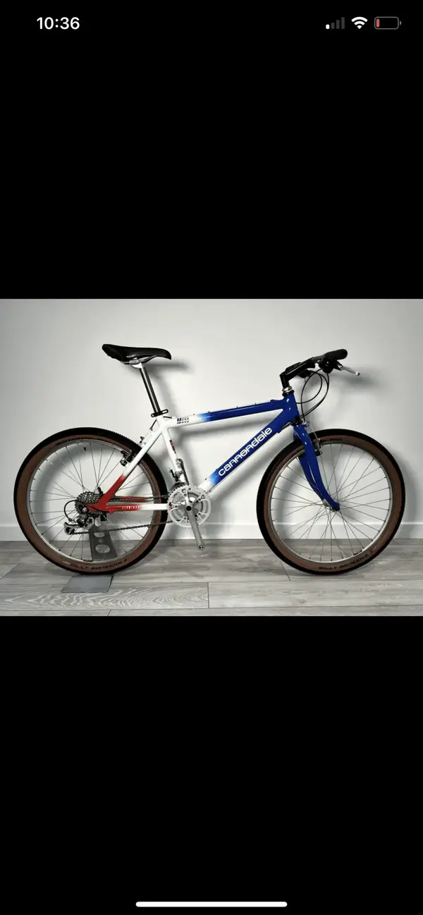 90366362-1804-4D24-A749-8CEE370C6A46.webp