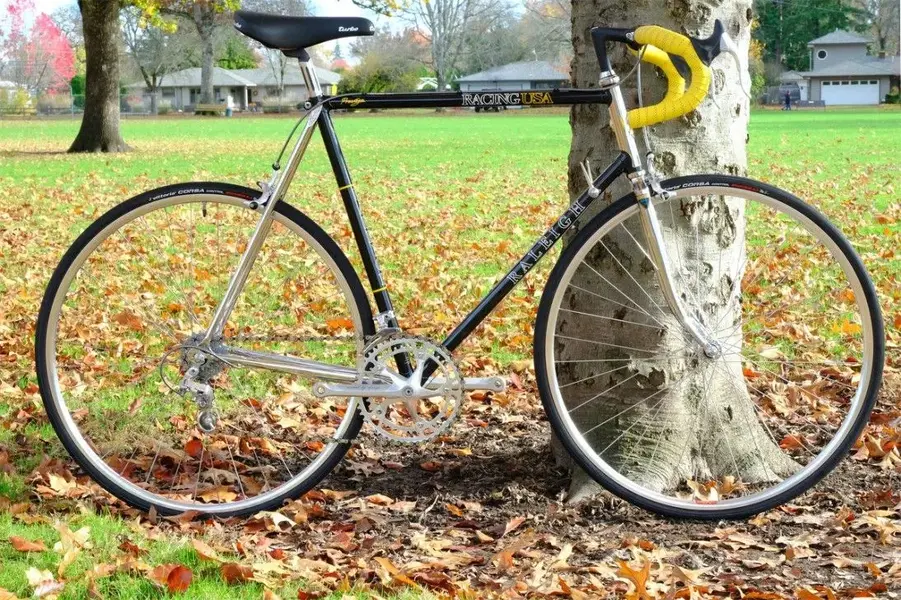 raleigh_prestige_02.webp