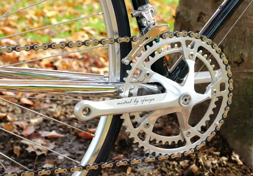 raleigh_prestige_16.webp