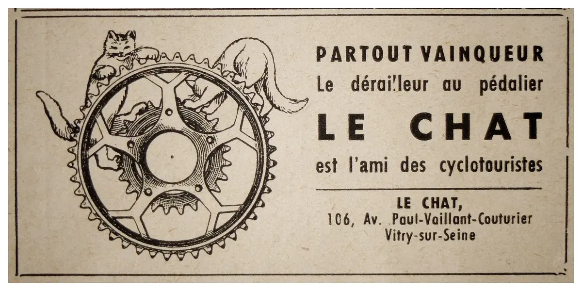 LECHAT.webp