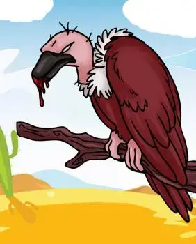 how-to-draw-a-cartoon-vulture.webp