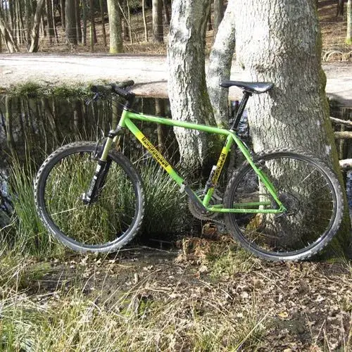 I love this bike.webp