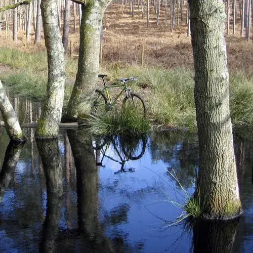 time to reflect.webp